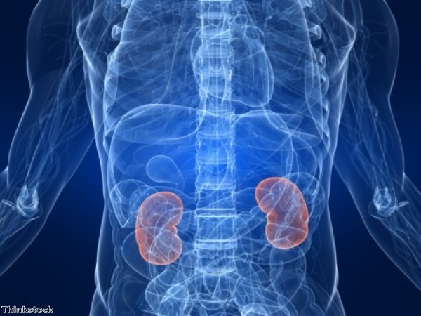 Study identifies mechanism behind kidney cancer progression