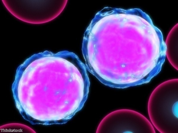 Stem cell treatment offers hope to cancer patients